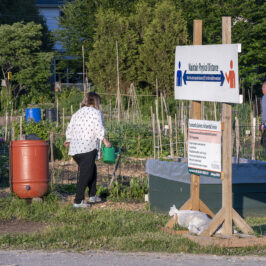 Three people tending to garden plots, with a sign in the foreground advising physical distancing.