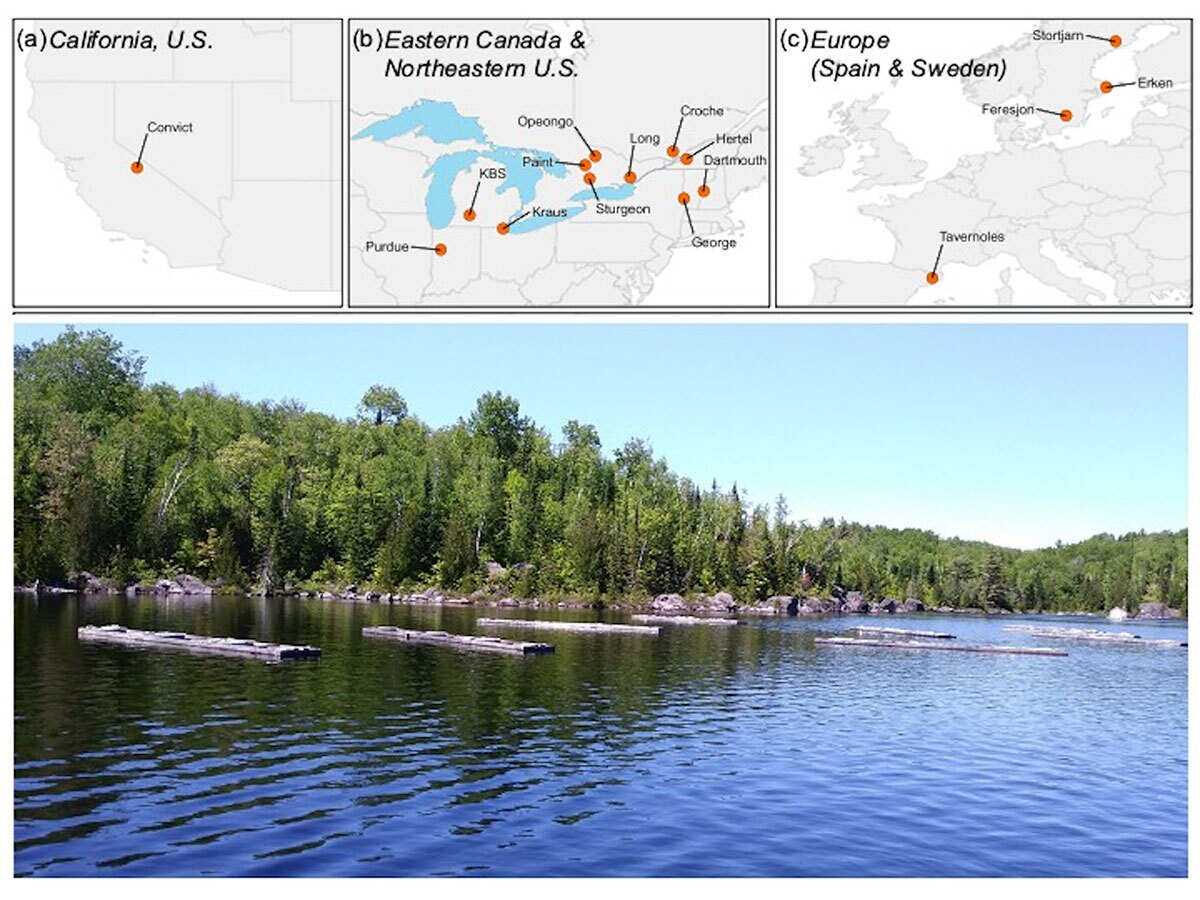 Maps show the sites for the experiment in California, Eastern Canada and Northeastern U.S. and Spain and Sweden. Below is an image of a tree-lined lake.
