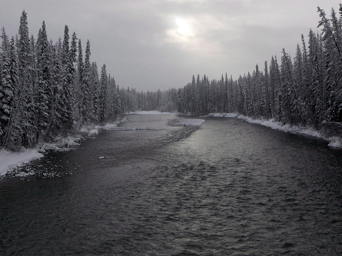 Wet’suwet’en: Why are Indigenous rights being defined by an energy corporation?