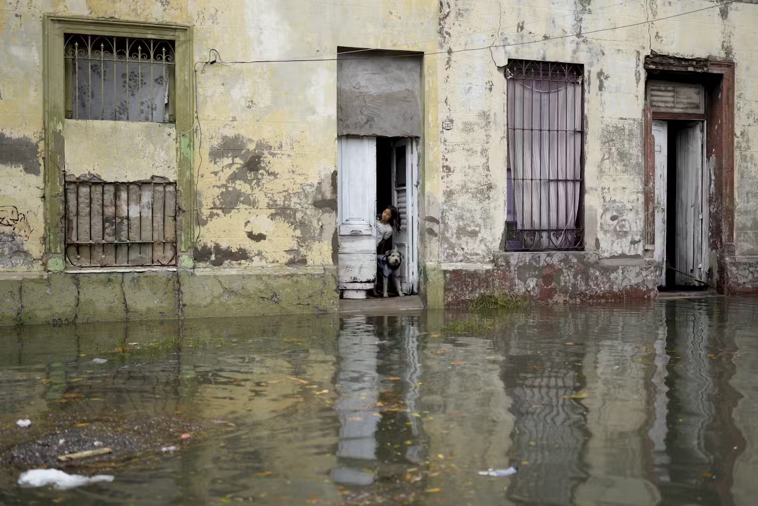 A youth and her dog peer from their home's entrance on a flooded street.
