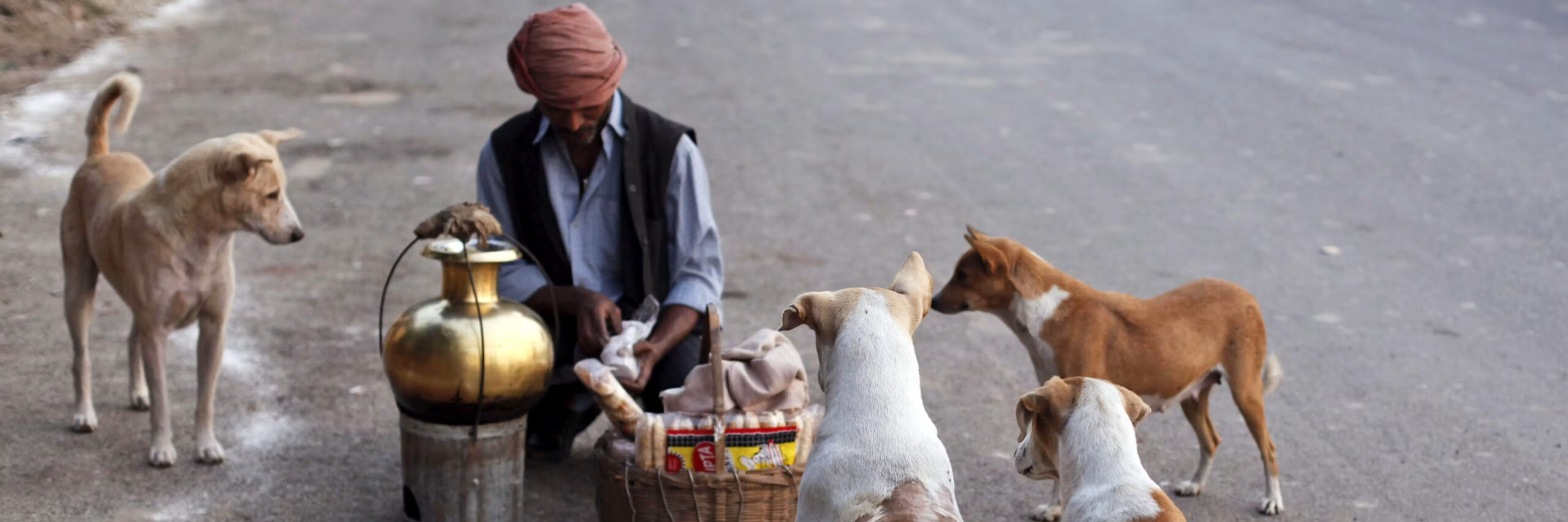 A tea vendor is surrounded by friendly stray dogs.